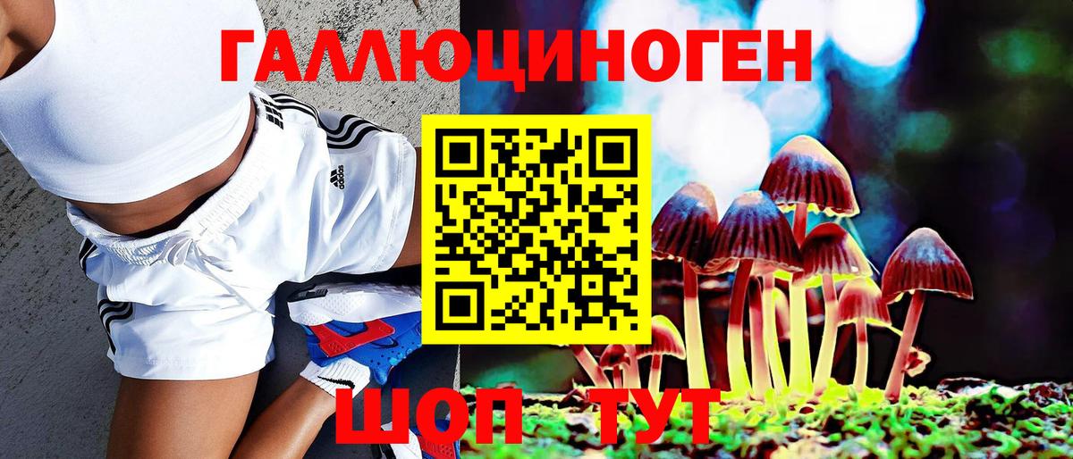Владикавказ  Галлюциногенные грибы мухоморы  Вход с VPN 